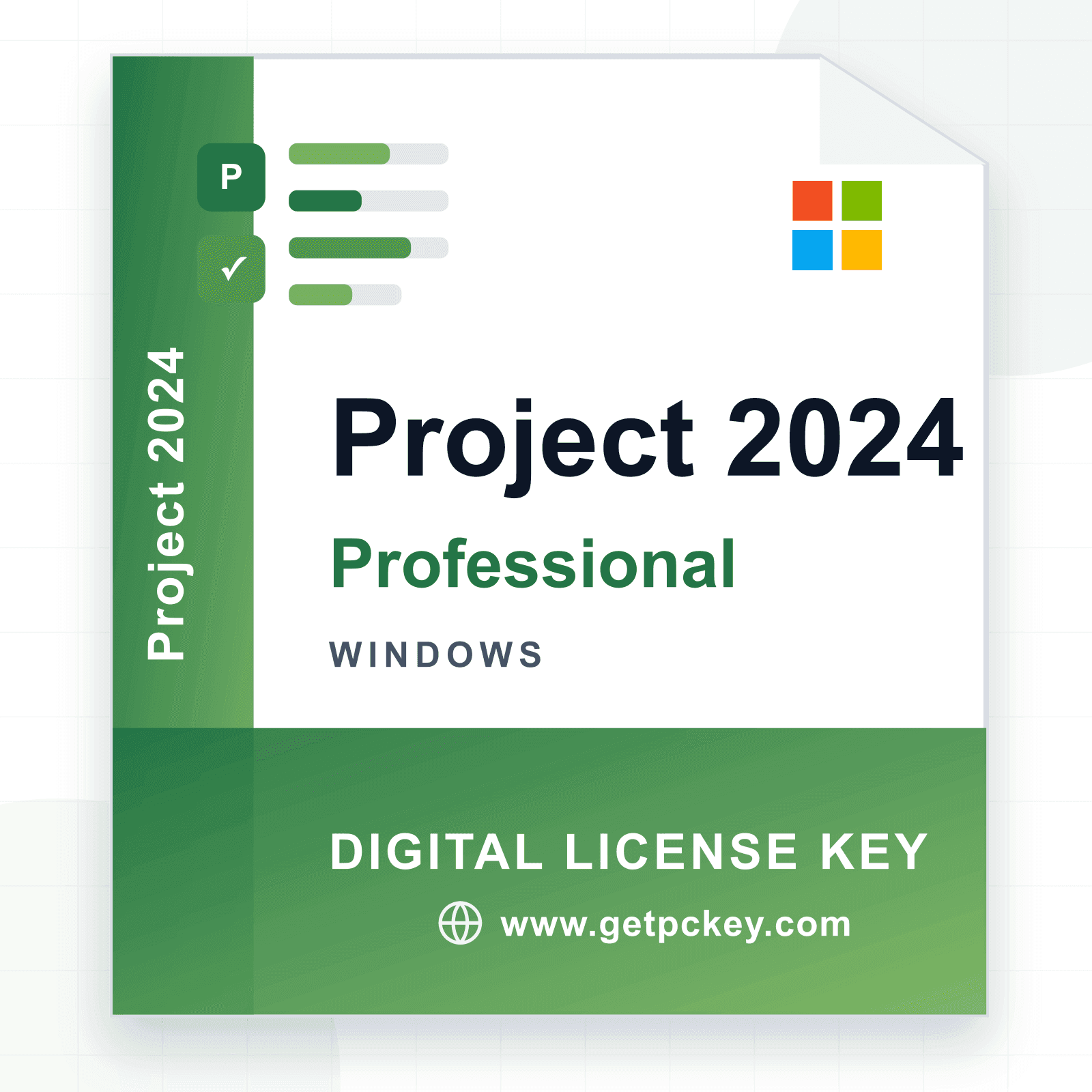 Project 2024 Professional