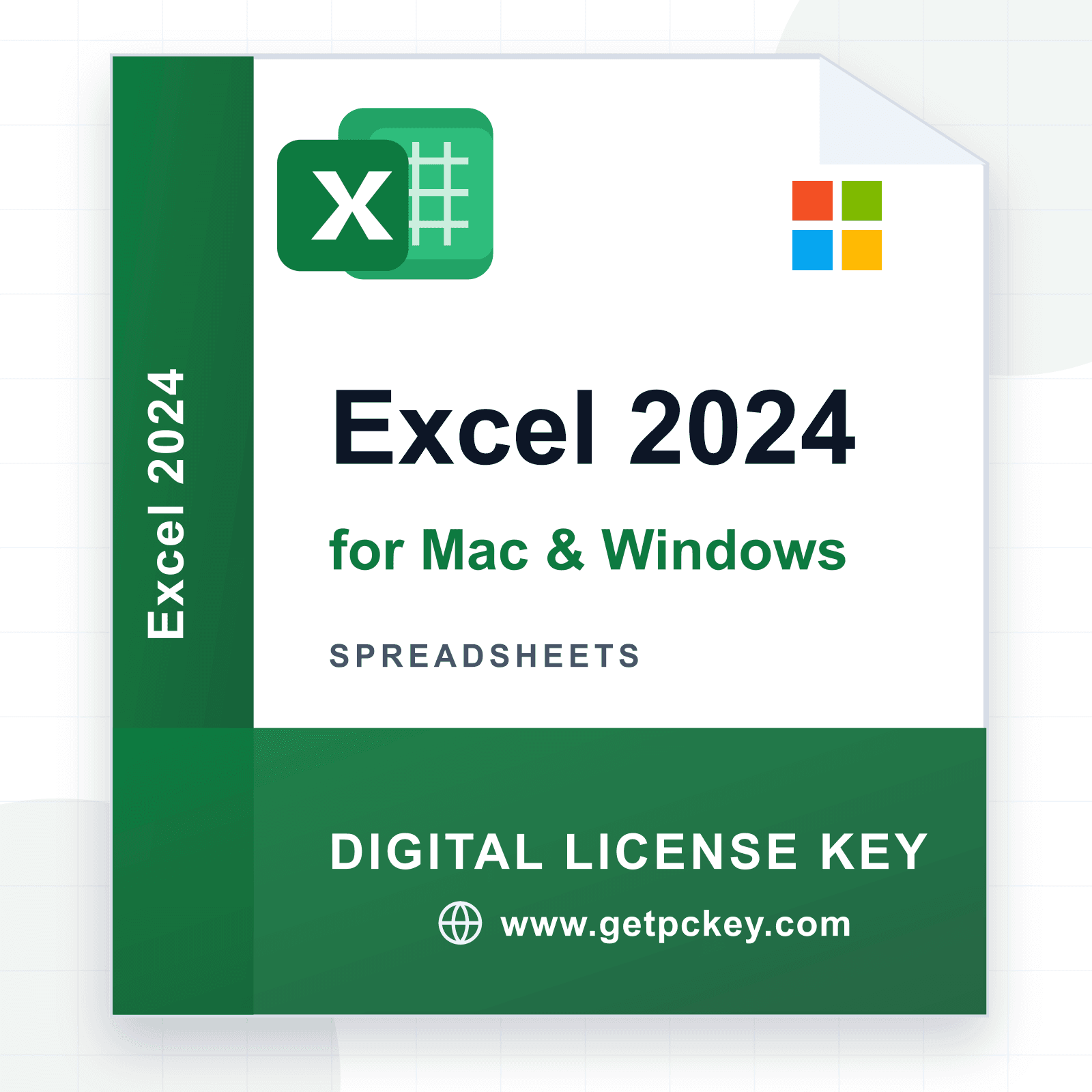 Excel 2024 for Mac/Windows