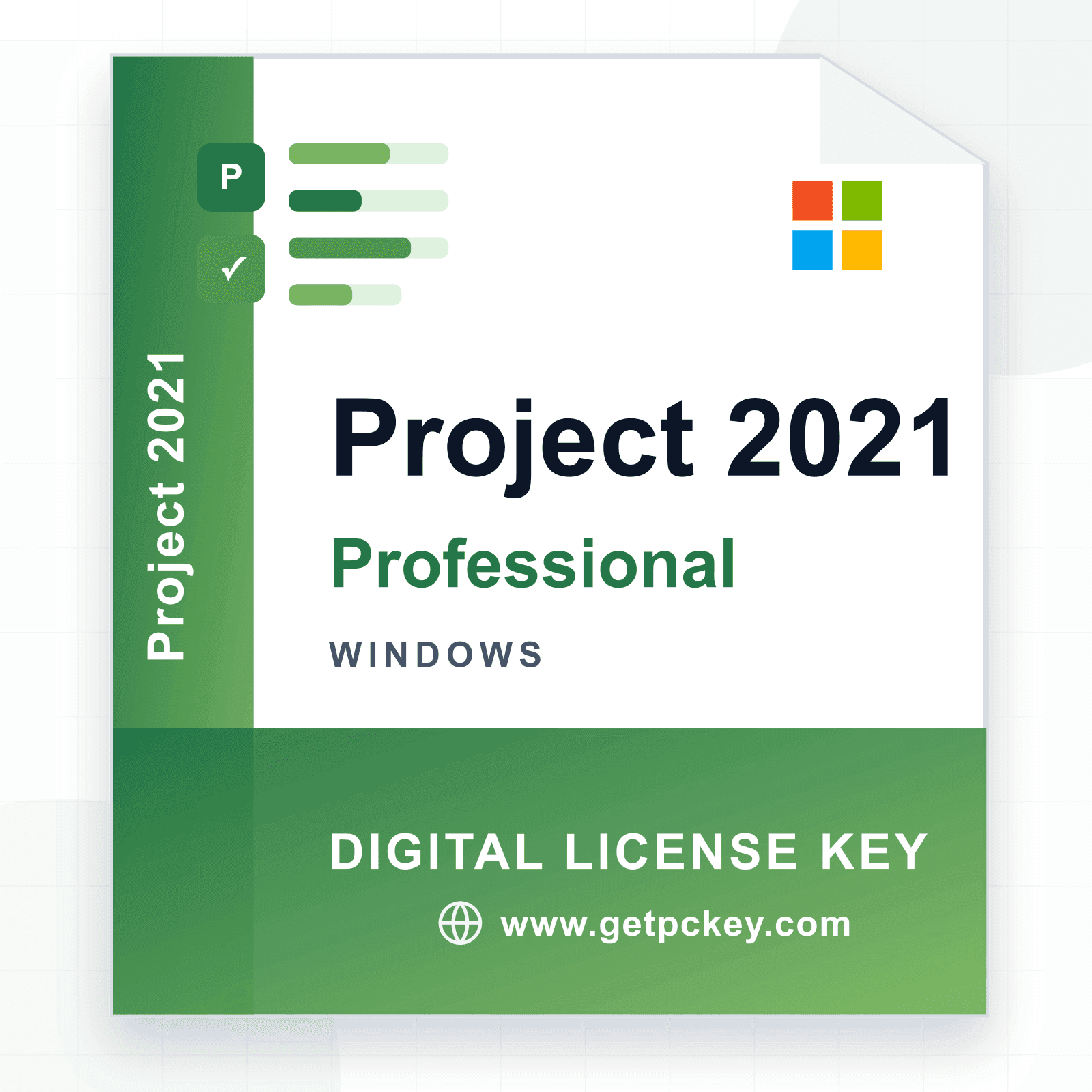 Project 2021 Professional
